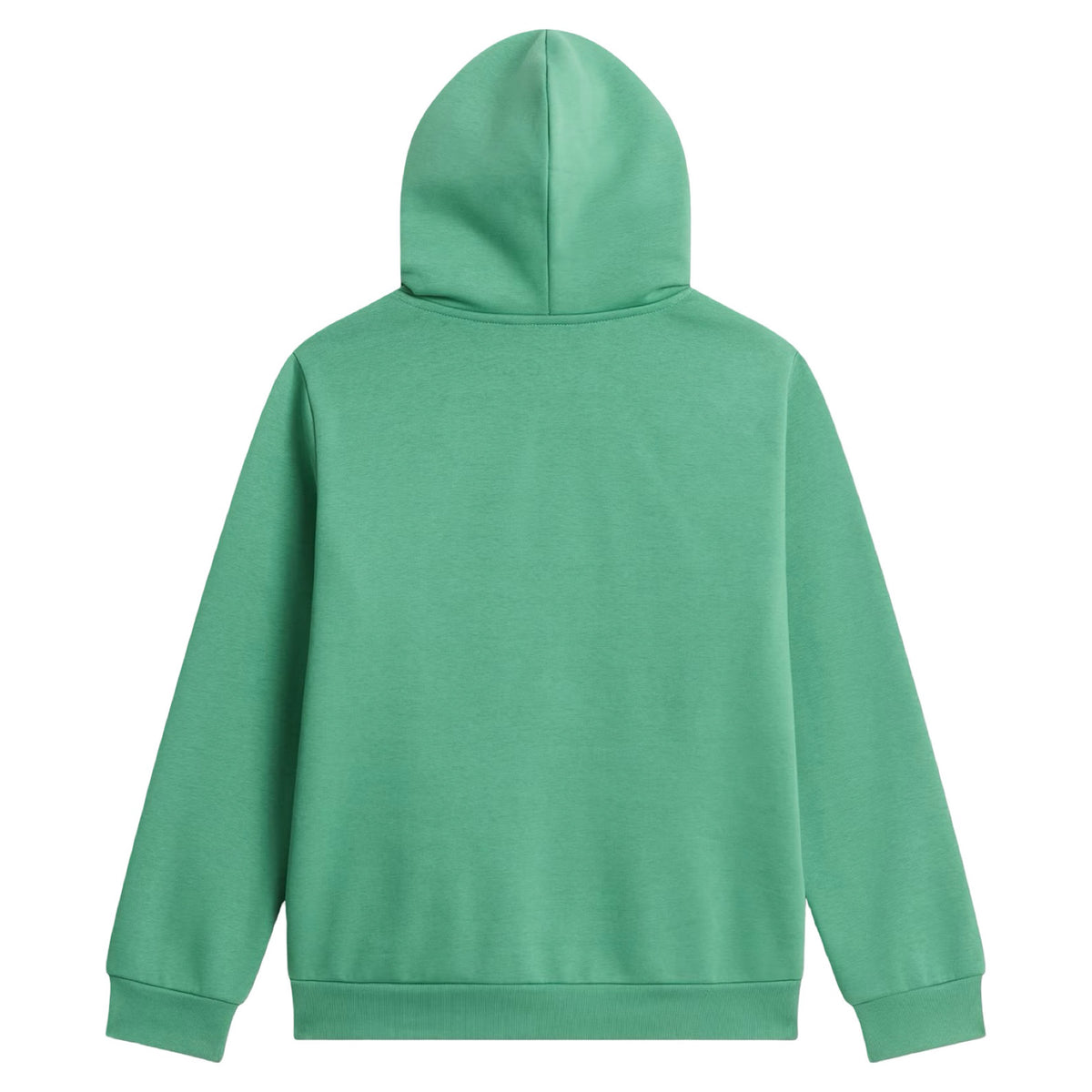 TEEN ENVOT HDY THE NORTH FACE