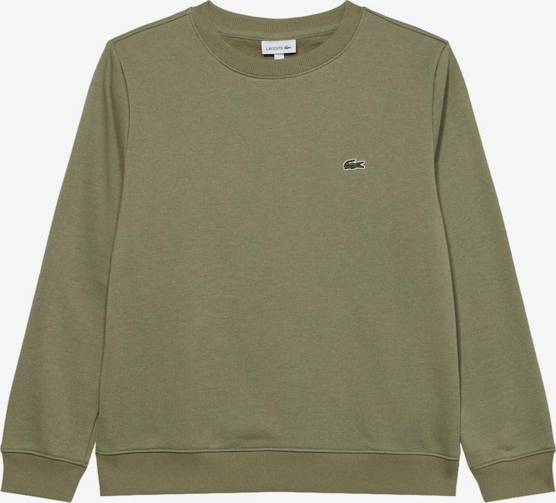 Felpa cotone Lacoste