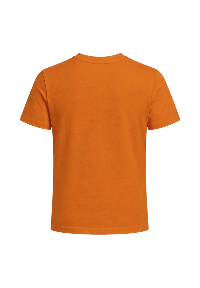 COMPLETO T-SHIRT E SHORT