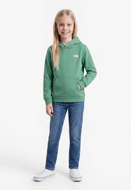 TEEN ENVOT HDY THE NORTH FACE