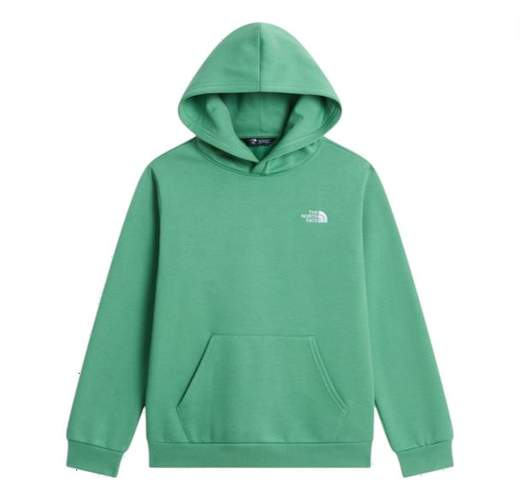 TEEN ENVOT HDY THE NORTH FACE