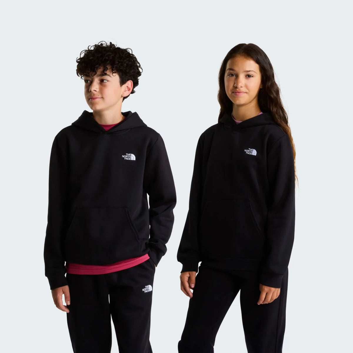 Felpa con cappuccio The North Face