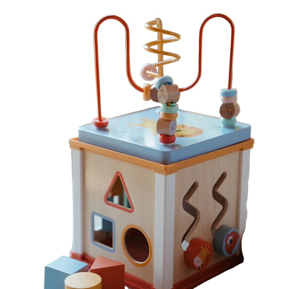 Wild Activity Cube
