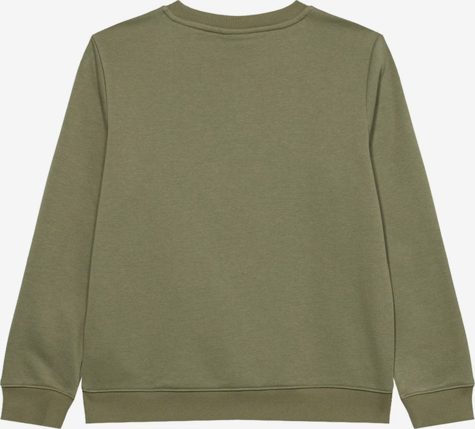Felpa cotone Lacoste