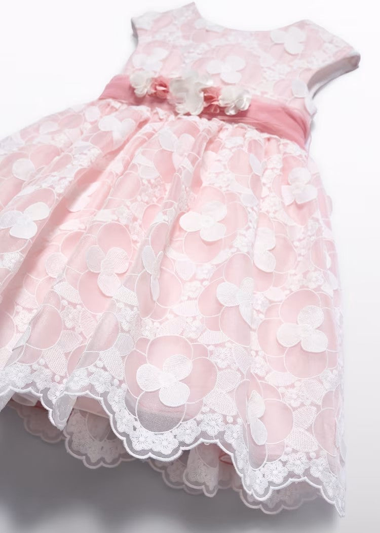 Embroidered Organza Dress for Girls
