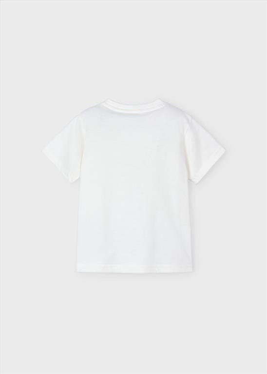 T-SHIRT IN COTONE