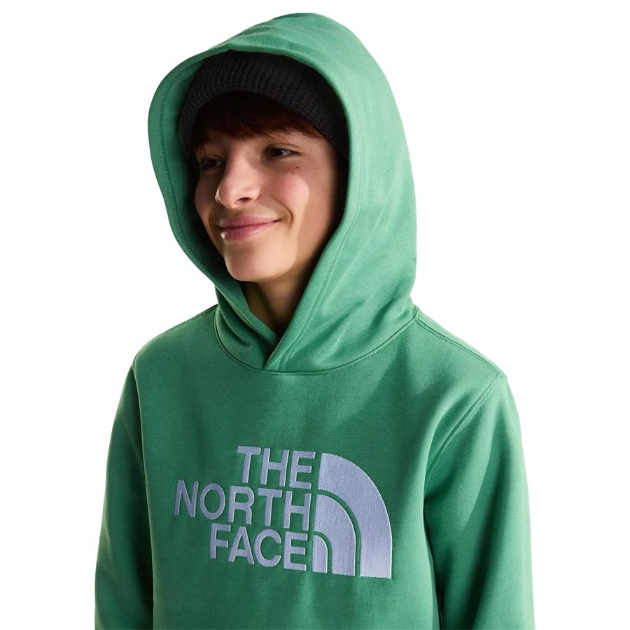 TEEN ESSENTIAL HDY THE NORTH FACE